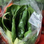 Po raz czwarty w Kielcach odbył się Eko-Bazar przy ulicy Batalionów Chłopskich / Wojciech Habdas / Radio Kielce