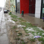 Przy ulicy Głowackiego i Żeromskiego, parkujące na poboczu samochody niszczą trawniki. / Paweł Klepka / Radio Kielce