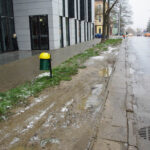 Przy ulicy Głowackiego i Żeromskiego, parkujące na poboczu samochody niszczą trawniki. / Paweł Klepka / Radio Kielce