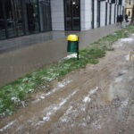 Przy ulicy Głowackiego i Żeromskiego, parkujące na poboczu samochody niszczą trawniki. / Paweł Klepka / Radio Kielce