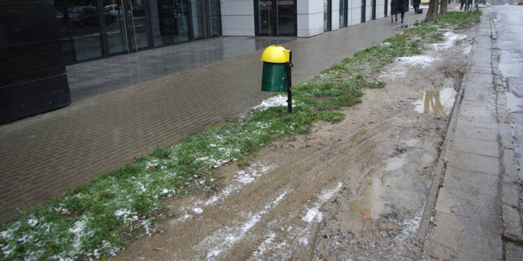 Przy ulicy Głowackiego i Żeromskiego, parkujące na poboczu samochody niszczą trawniki. / Paweł Klepka / Radio Kielce