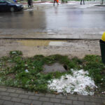 Przy ulicy Głowackiego i Żeromskiego, parkujące na poboczu samochody niszczą trawniki. / Paweł Klepka / Radio Kielce