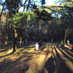 Zazwyczaj o tej porze roku na stadionie roi się od narciarzy. Jednak teraz, ze względu na wiosenną aurę, to idealny teren dla spacerowiczów. / Paweł Klepka / Radio Kielce