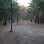 Zazwyczaj o tej porze roku na stadionie roi się od narciarzy. Jednak teraz, ze względu na wiosenną aurę, to idealny teren dla spacerowiczów. / Paweł Klepka / Radio Kielce