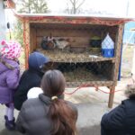 Żywa szopka przy parafii świętego Franciszka z Asyżu w Kielcach / Kamil Król / Radio Kielce