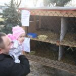 Żywa szopka przy parafii świętego Franciszka z Asyżu w Kielcach / Kamil Król / Radio Kielce