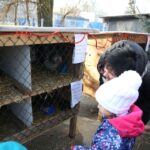 Żywa szopka przy parafii świętego Franciszka z Asyżu w Kielcach / Kamil Król / Radio Kielce