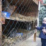 Żywa szopka przy parafii świętego Franciszka z Asyżu w Kielcach / Kamil Król / Radio Kielce