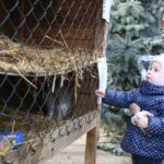 Żywa szopka przy parafii świętego Franciszka z Asyżu w Kielcach / Kamil Król / Radio Kielce