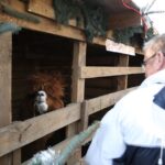 Żywa szopka przy parafii świętego Franciszka z Asyżu w Kielcach / Kamil Król / Radio Kielce