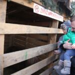 Żywa szopka przy parafii świętego Franciszka z Asyżu w Kielcach / Kamil Król / Radio Kielce