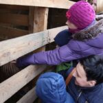 Żywa szopka przy parafii świętego Franciszka z Asyżu w Kielcach / Kamil Król / Radio Kielce