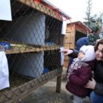 Żywa szopka przy parafii świętego Franciszka z Asyżu w Kielcach / Kamil Król / Radio Kielce