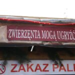 Żywa szopka przy parafii świętego Franciszka z Asyżu w Kielcach / Kamil Król / Radio Kielce