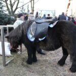 Żywa szopka przy parafii świętego Franciszka z Asyżu w Kielcach / Kamil Król / Radio Kielce