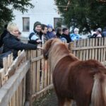 Żywa szopka w Chęcinach / Kamil Król / Radio Kielce