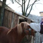 Żywa szopka w Chęcinach / Kamil Król / Radio Kielce