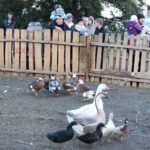 Żywa szopka w Chęcinach / Kamil Król / Radio Kielce