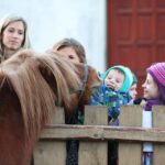 Żywa szopka w Chęcinach / Kamil Król / Radio Kielce