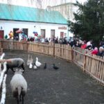 Żywa szopka w Chęcinach / Kamil Król / Radio Kielce