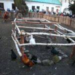 Żywa szopka w Chęcinach / Kamil Król / Radio Kielce