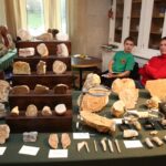 Ogólnopolska Giełda Minerałów i Skamieniałości w Kieleckim Centrum Kultury / Kamil Król / Radio Kielce