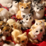 Świąteczne Kielce. Kiermasz Świąteczny w Centrum Kielc / Wojciech Habdas / Radio Kielce