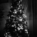 05.01.2014 / Pan Adrian / arch. prywatne