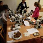 Noc Biologów w Instytucie Biologii na UJK. / Piotr Michalski / Radio Kielce