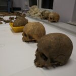 Noc Biologów w Instytucie Biologii na UJK. / Piotr Michalski / Radio Kielce