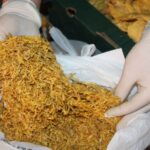 U 57 letniego mieszkańca Skarżyska Kamiennej, policjanci znaleźli nielegalne wyroby tytoniowe. / fot. Policja