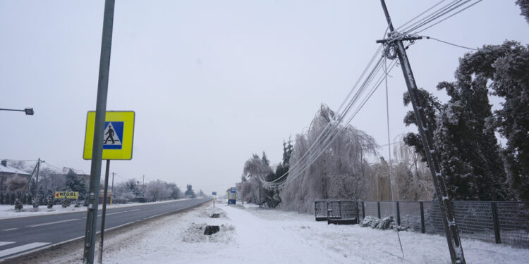 Ostrowiec gołoledź. / Teresa Czajkowska / Radio Kielce