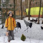 DDD w Lisowie na spotkaniu ze zwierzętami. / Jacek Mętrak / archiwum prywatne