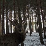 DDD w Lisowie na spotkaniu ze zwierzętami. / Jacek Mętrak / archiwum prywatne