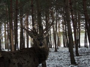 DDD w Lisowie na spotkaniu ze zwierzętami. / Jacek Mętrak / archiwum prywatne