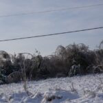 Zniszczone lasy w Nadleśnictwie Ostrowiec / Teresa Czajkowska / Radio Kielce