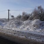 Zniszczone lasy w Nadleśnictwie Ostrowiec / Teresa Czajkowska / Radio Kielce