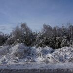 Zniszczone lasy w Nadleśnictwie Ostrowiec / Teresa Czajkowska / Radio Kielce