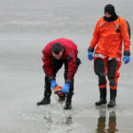 I Kazimierskie Morsowanie / Krzysztof Żołądek / Radio Kielce