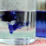 Audycja Dzień Dobry Dzieci z 2 lutego / Wojciech Habdas / Radio Kielce