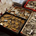 Ogólnopolska Giełda Minerałów w KCK / Piotr Michalski / Radio Kielce