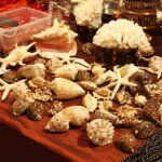 Ogólnopolska Giełda Minerałów w KCK / Piotr Michalski / Radio Kielce