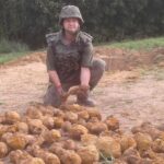 Interwencje saperów w Świetokrzyskiem / XXXI Patrol Rozminowania