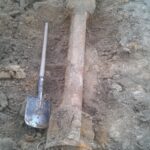 Interwencje saperów w Świetokrzyskiem / XXXI Patrol Rozminowania