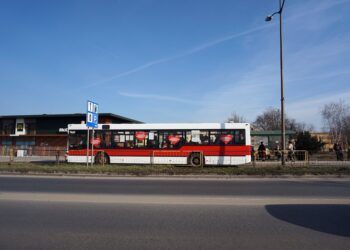 Autobusy w Ostrowcu - zmiany w komunikacji / Teresa Czajkowska / Radio Kielce