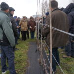 Winorośla / Grażyna Szlęzak-Wójcik / Radio Kielce