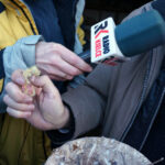 Audycja Dzień Dobry Dzieci z Ptasiego Azylu / Arkadiusz Miller / Radio Kielce