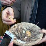 Audycja Dzień Dobry Dzieci z Ptasiego Azylu / Arkadiusz Miller / Radio Kielce