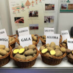 W Targach Kielce rozpoczęły się targi AGROTECH 2014 / Wojciech Habdas / Radio Kielce