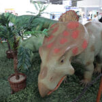 Rozpoczęły się Targi Edukacja. / Wojciech Habdas / Radio Kielce